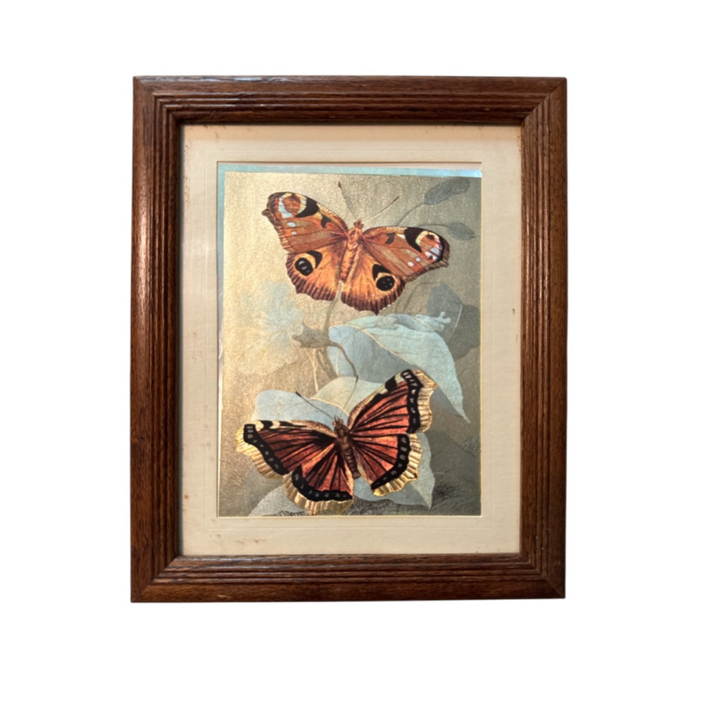 Vintage Dufex Foil Print Matted and Framed Butterfly Butterflies England